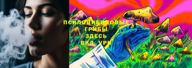 МЕГА tor  Нижнеудинск  Галлюциногенные грибы Psilocybe 